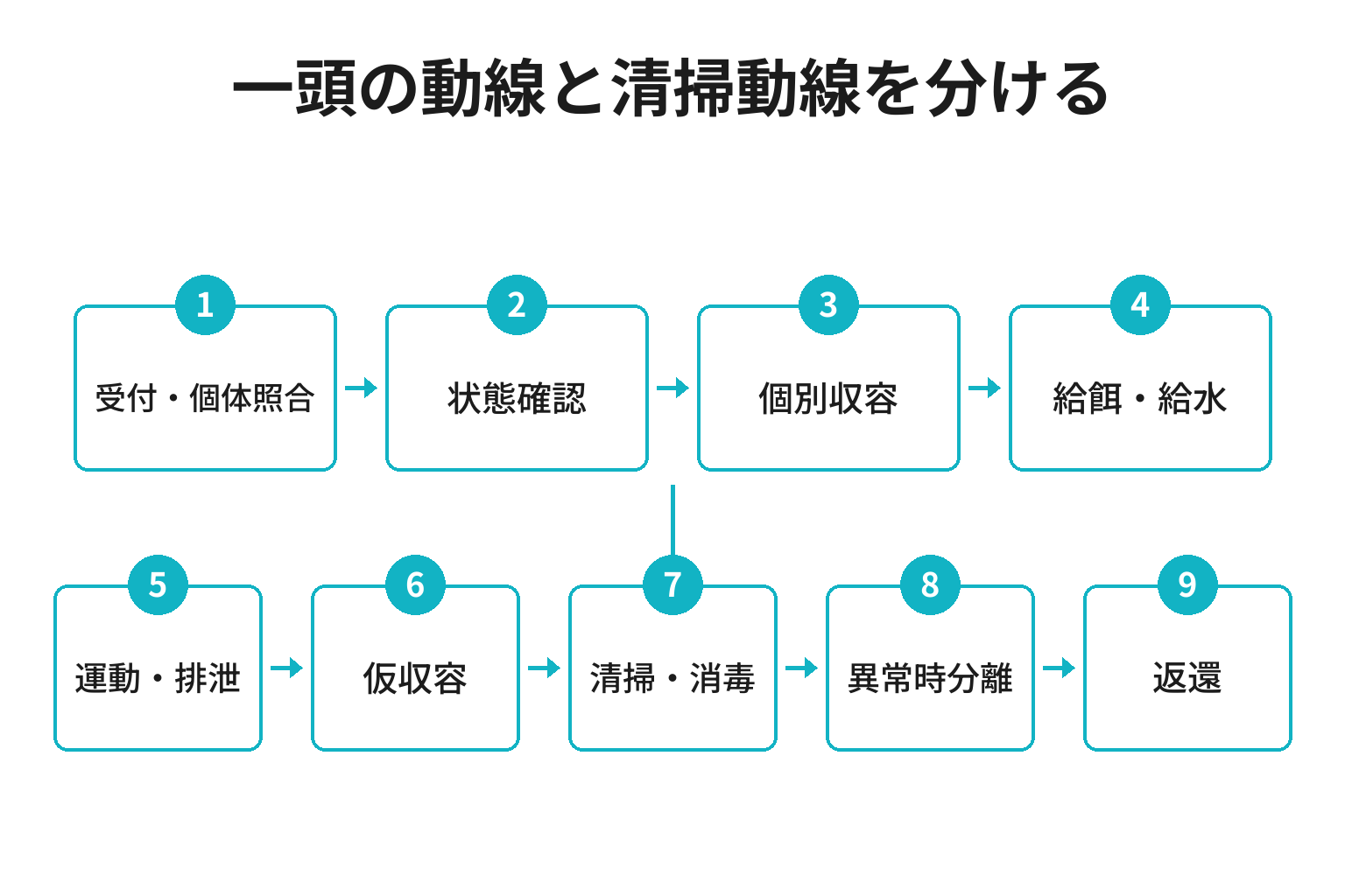 ペットホテル施設で一頭の受入れから返還までを分ける動線図