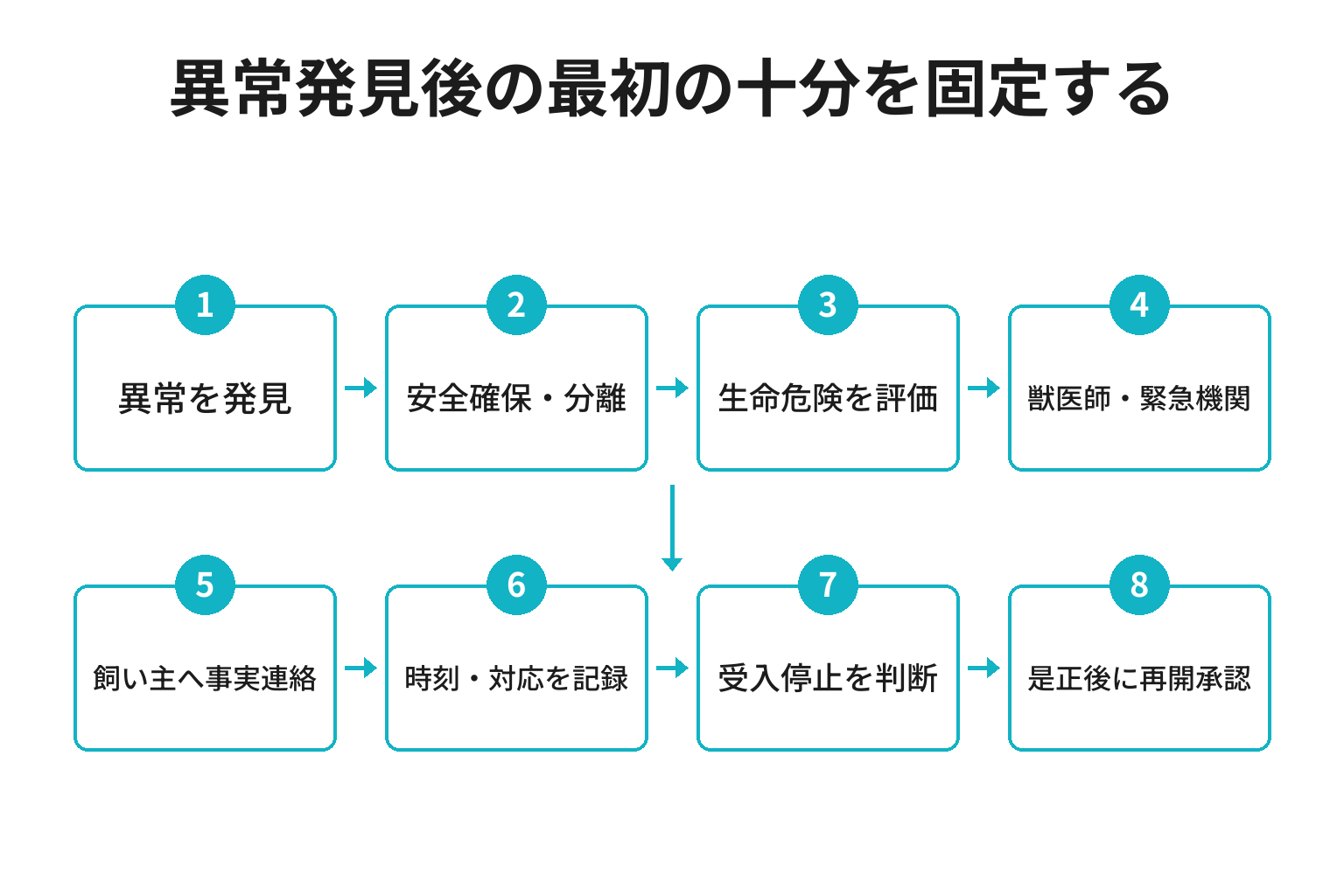 ペットホテルで傷病や逸走等が起きた際の初動連絡図