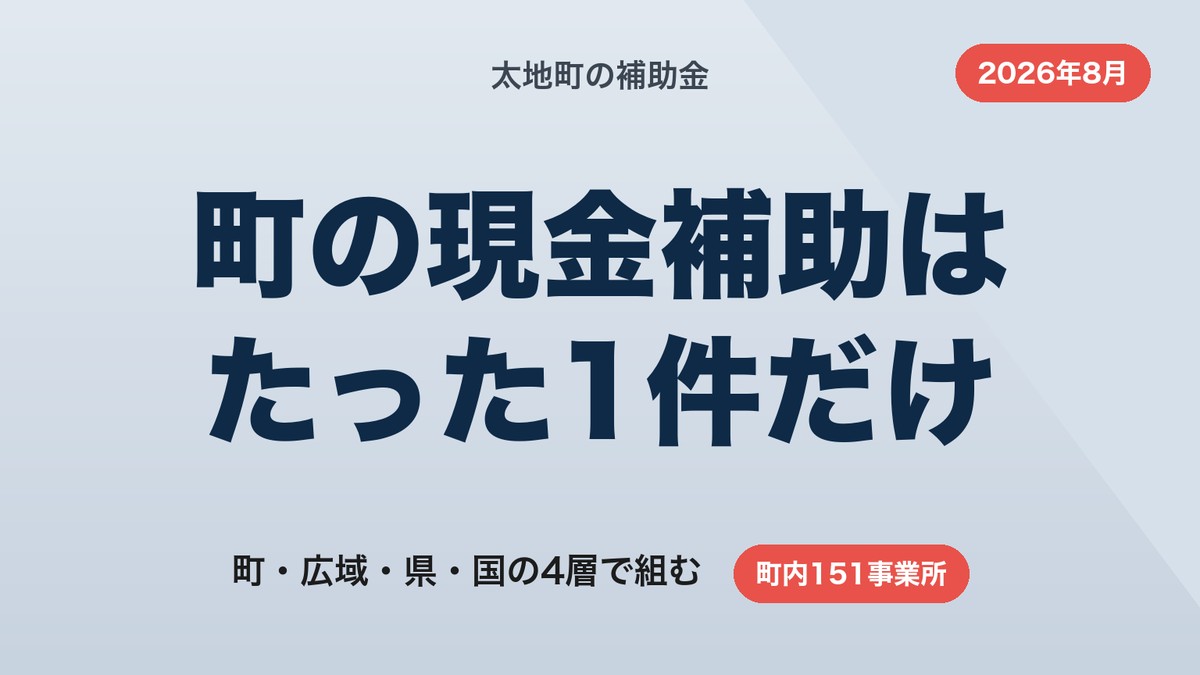 太地町の補助金｜町の現金補助は1件、本体は広域と国で組む【2026年8月】