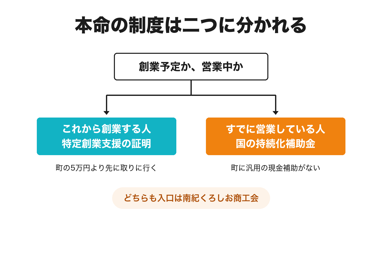 太地町で創業予定者と既存事業者の本命制度を分けた2分岐の図解