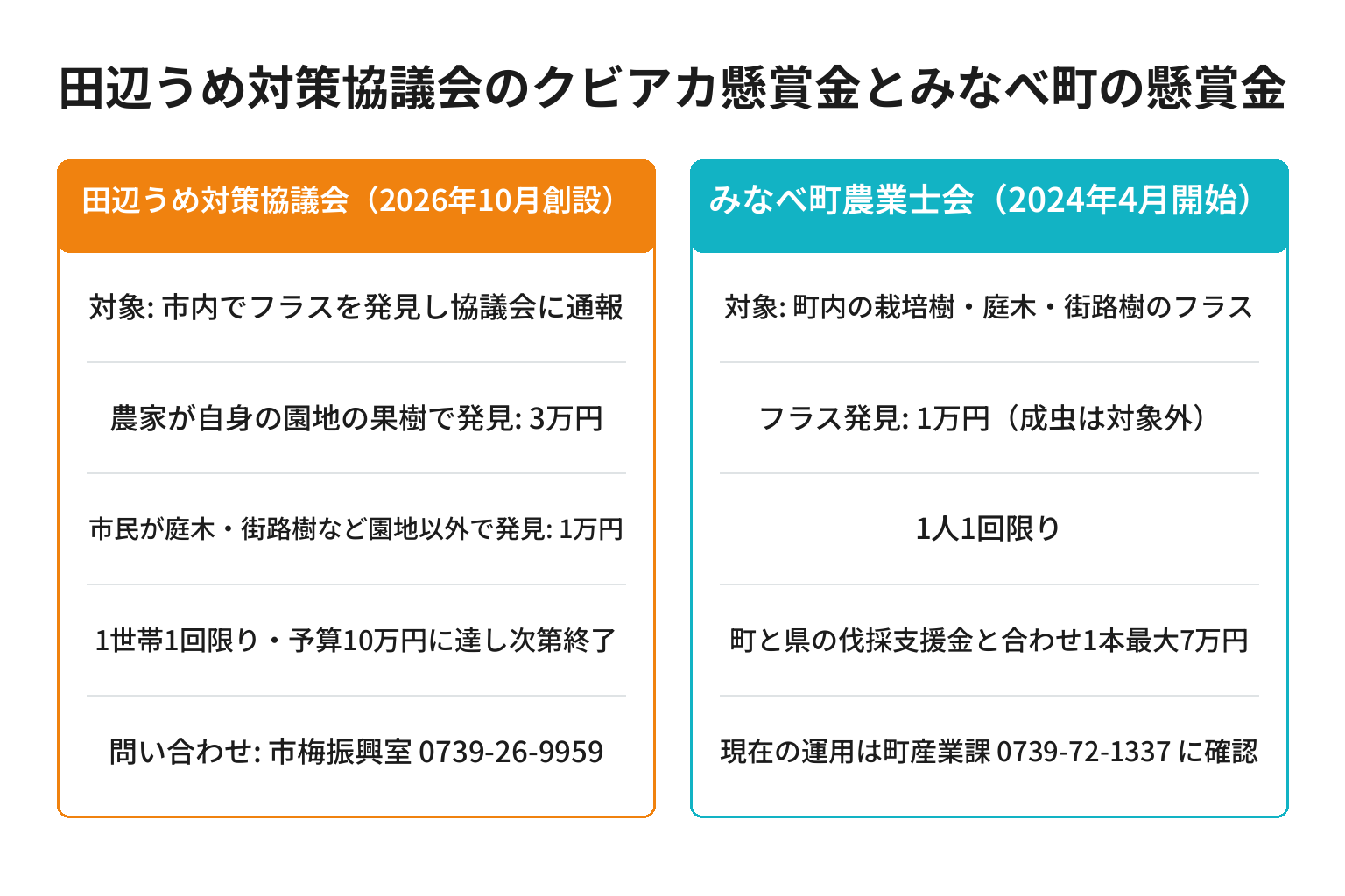 田辺うめ対策協議会のクビアカ懸賞金制度とみなべ町の懸賞金を比較した図解