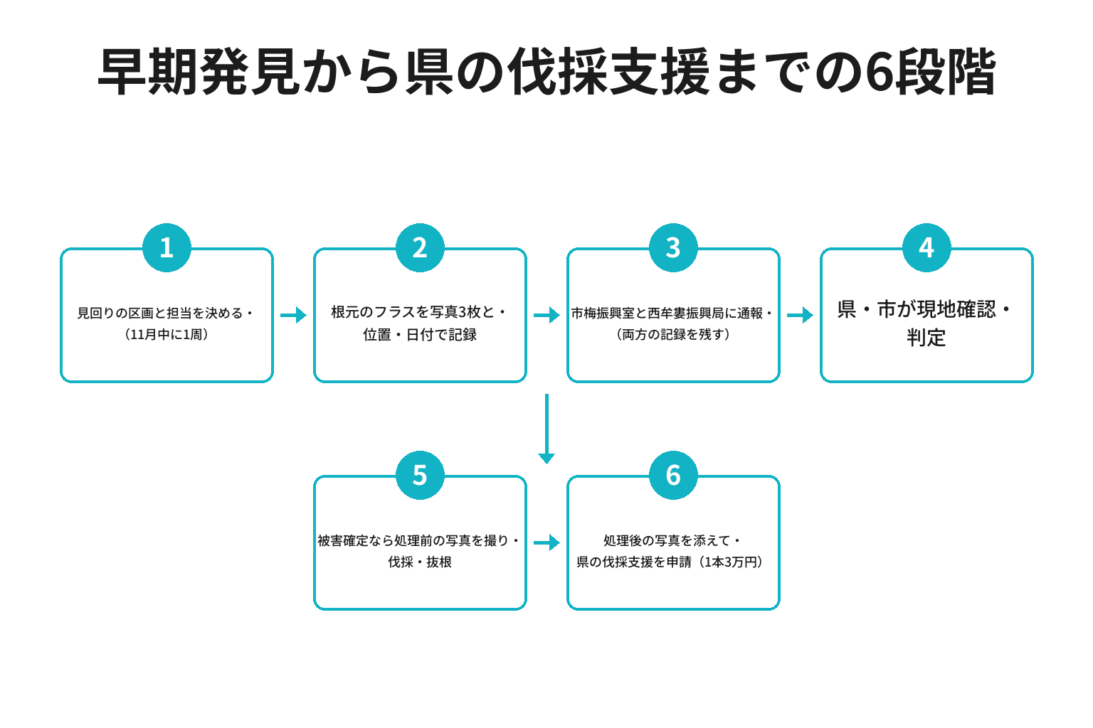 田辺の梅農家がクビアカの早期発見から県の伐採支援までたどる6段階のフロー図