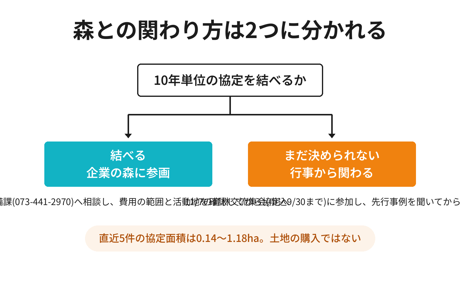 森林保全への関わり方を2分岐で整理した図解