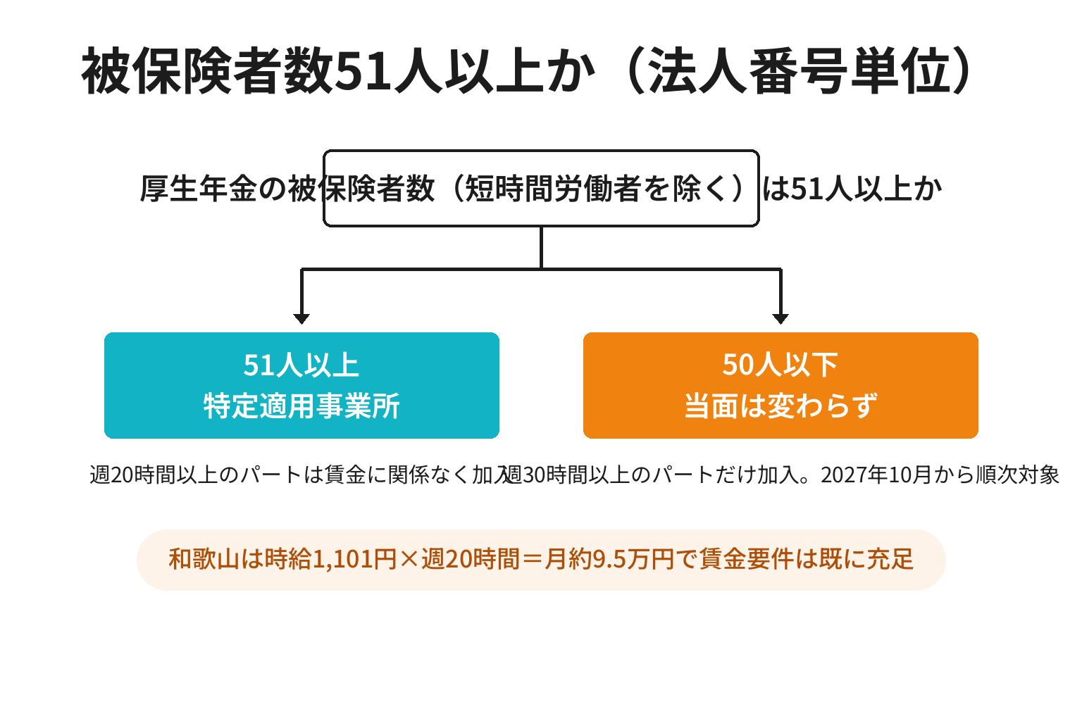 被保険者数が51人以上かどうかで2026年10月に変わることを切り分ける2分岐図解
