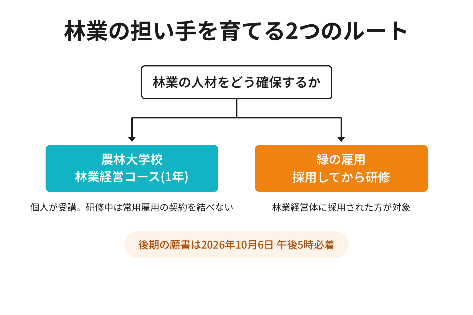 農林大学校と緑の雇用の2つのルートを比較した分岐図