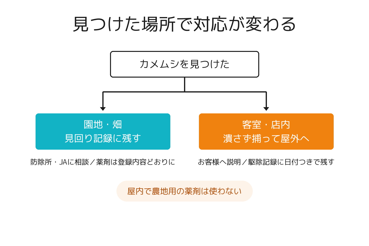 カメムシを見つけた場所別に対応が分かれることを示す図解