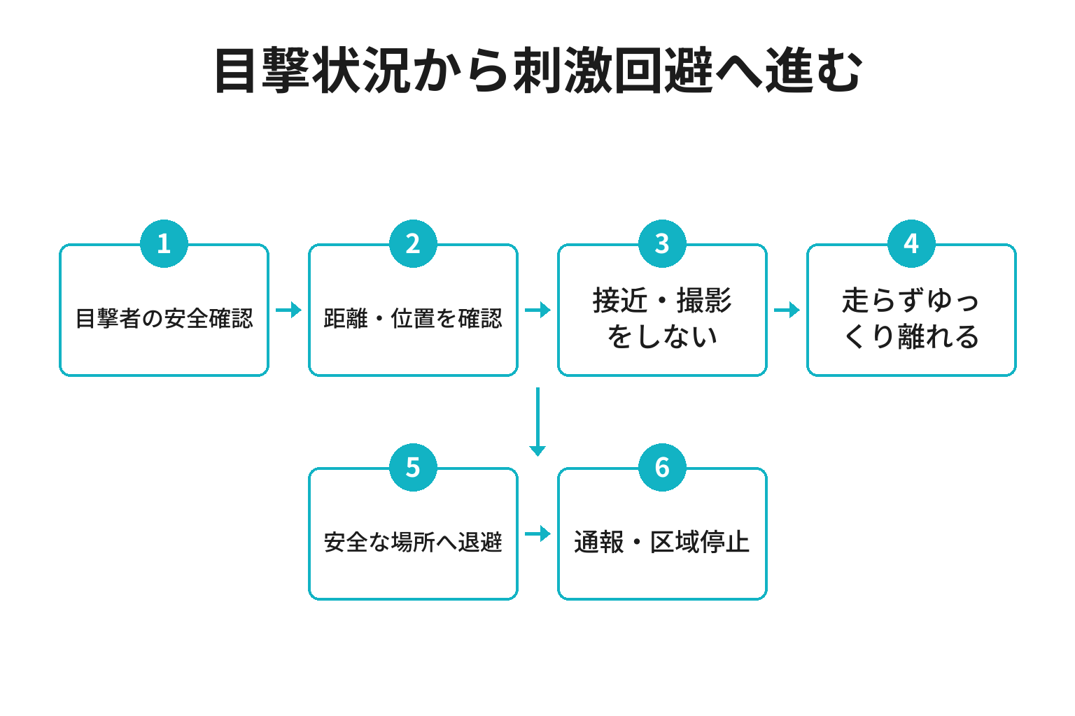クマを目撃したときの状況別対応図