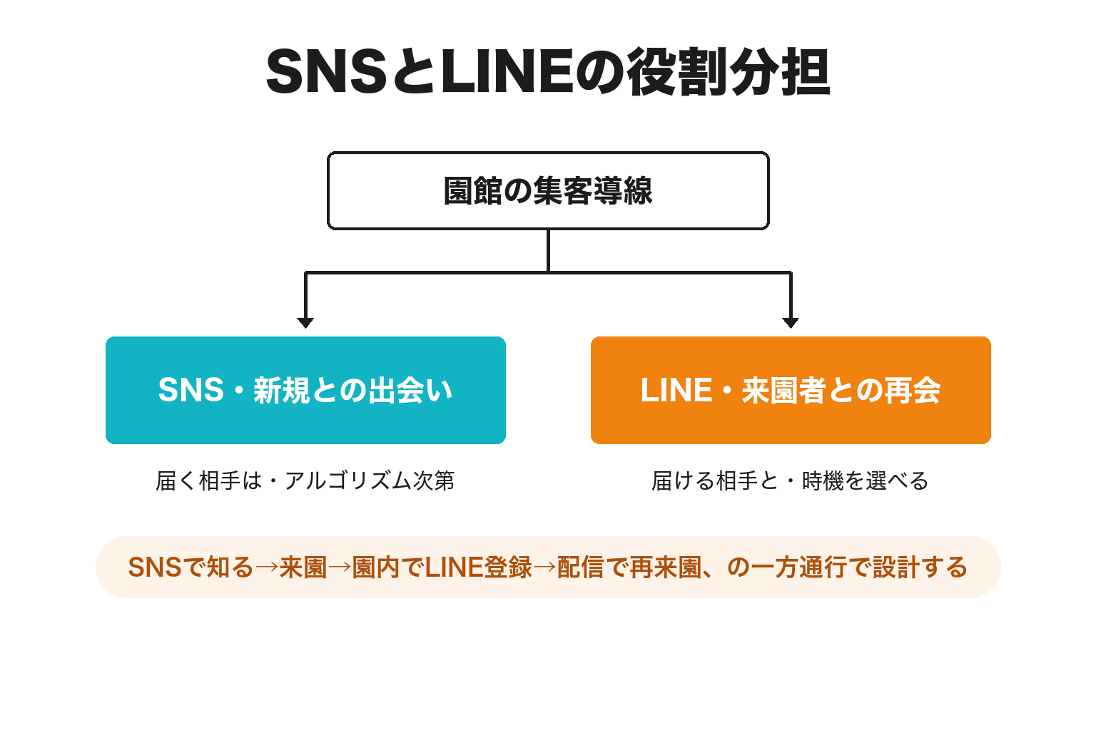動物園・水族館におけるSNSとLINE公式アカウントの役割の違い